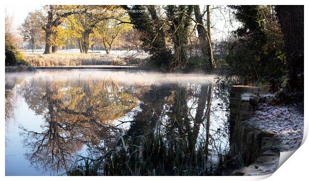 Mist shimmering on the lake at The Tarn, Mottingham #8 Print by Jules D Truman