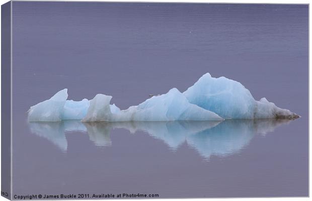 Lonely Ice Canvas Print by James Buckle