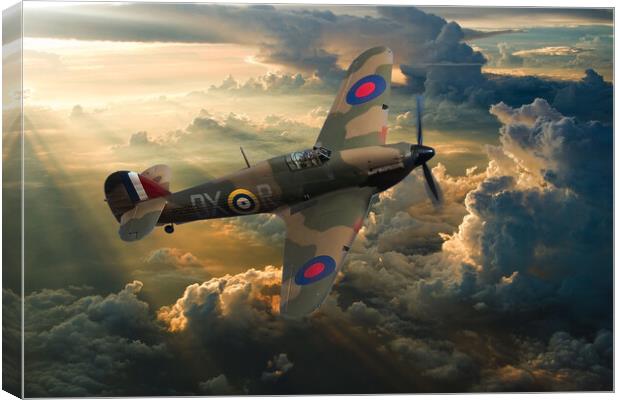 Majestic Flying Machine Canvas Print by Stephen Ward