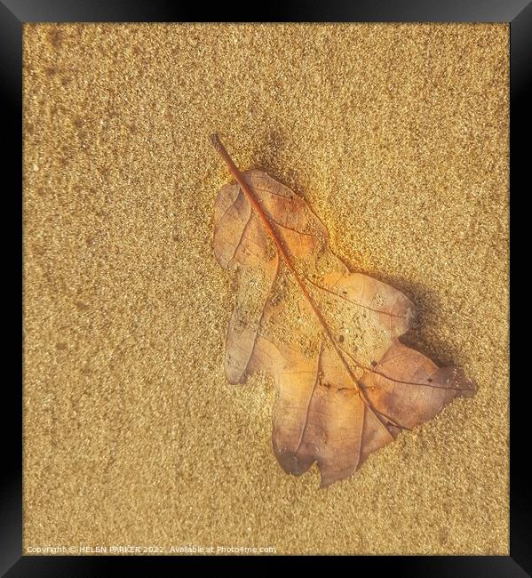 Just a leaf Framed Print by HELEN PARKER