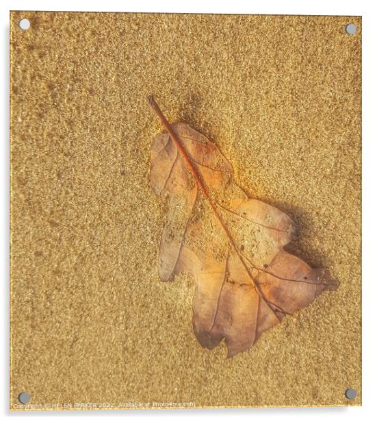 Just a leaf Acrylic by HELEN PARKER