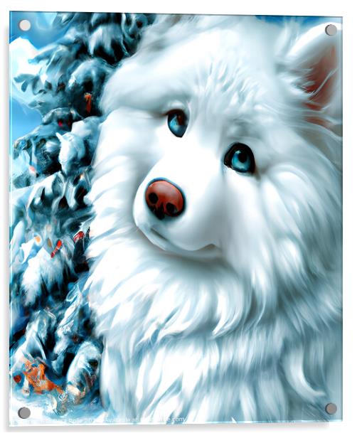Beautuful White Angel Samoyed Puppy Acrylic by Dina Rolle