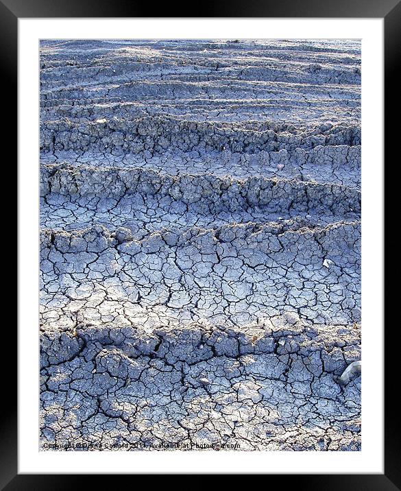 Parched ground Framed Mounted Print by DEE- Diana Cosford