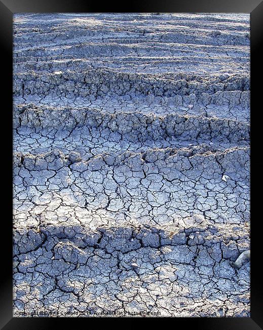 Parched ground Framed Print by DEE- Diana Cosford