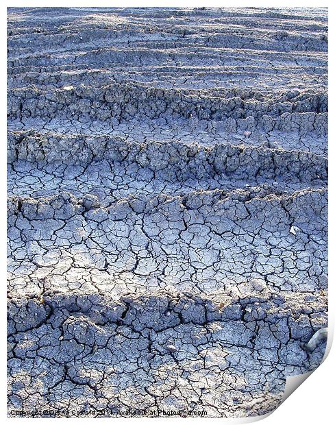 Parched ground Print by DEE- Diana Cosford