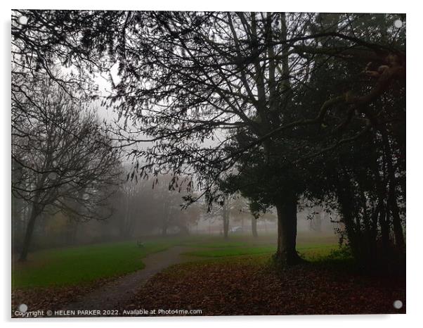 Trees in the fog Acrylic by HELEN PARKER