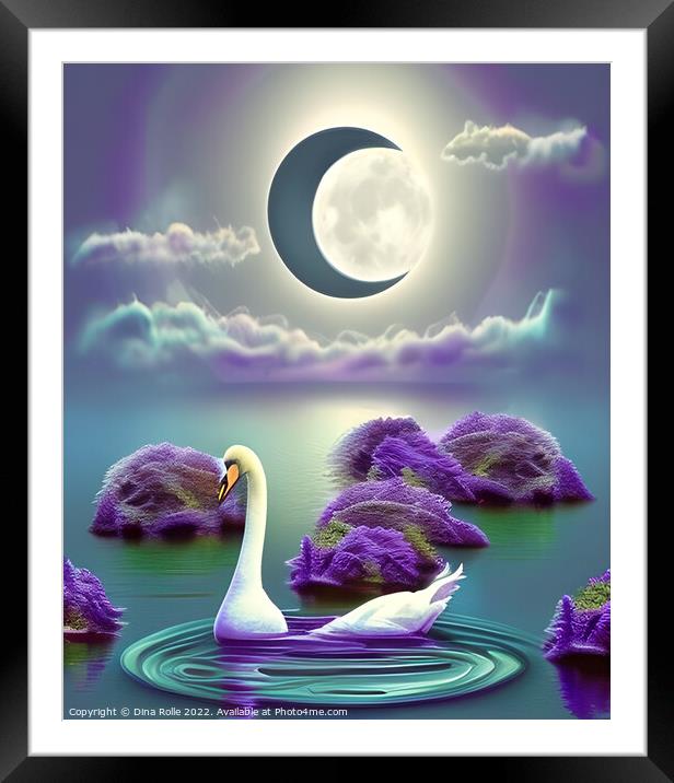 White Swan Floating on a Body of Water Framed Mounted Print by Dina Rolle