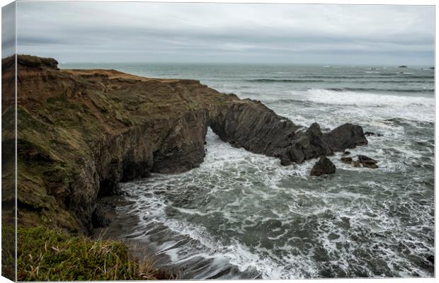 The Sea from Otter's Point Canvas Print by Belinda Greb