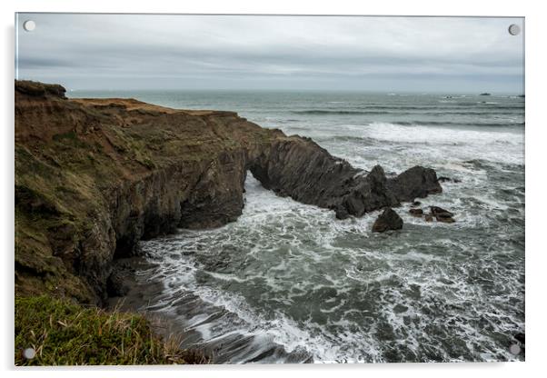 The Sea from Otter's Point Acrylic by Belinda Greb