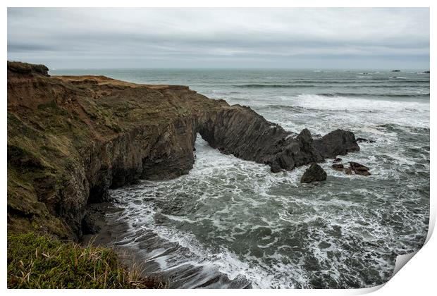The Sea from Otter's Point Print by Belinda Greb