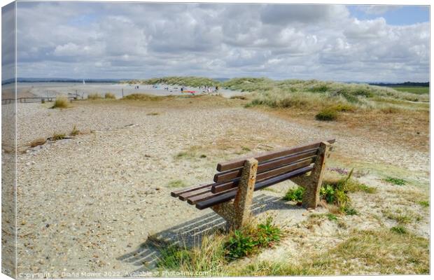 West Wittering seat with a view Canvas Print by Diana Mower