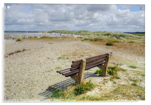West Wittering seat with a view Acrylic by Diana Mower
