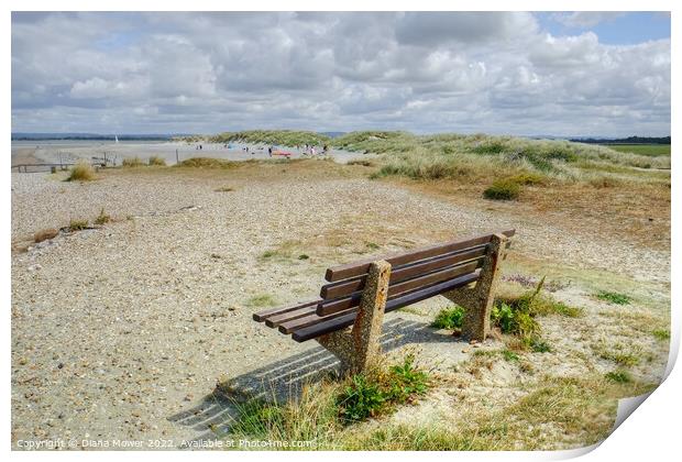 West Wittering seat with a view Print by Diana Mower