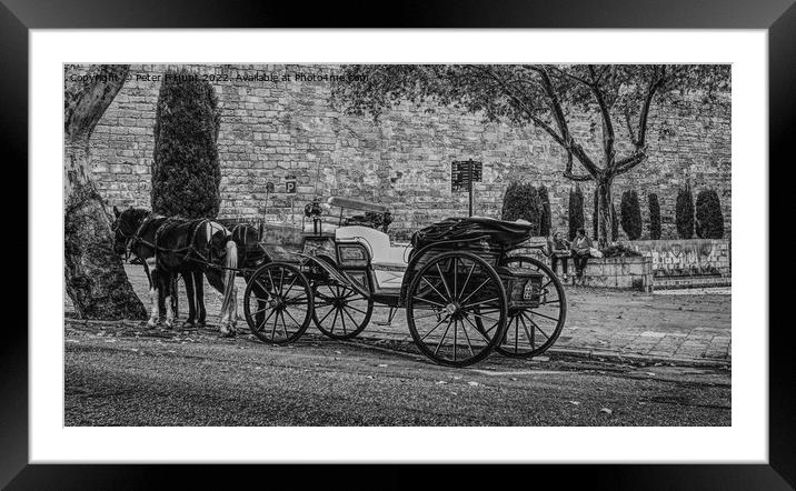 Waiting For The Tourists  Framed Mounted Print by Peter F Hunt