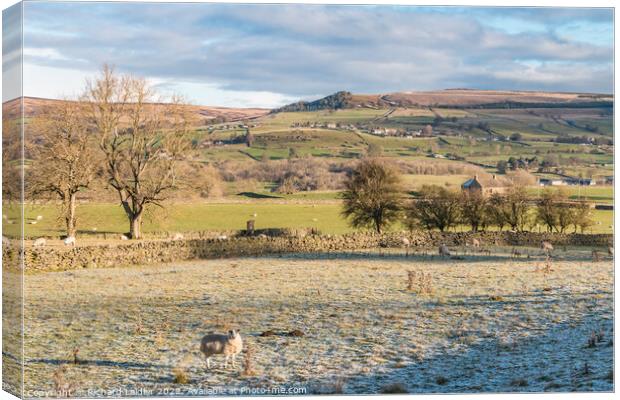 Hill Top, Eggleston, Teesdale from the Railway Walk in Winter Sun Canvas Print by Richard Laidler