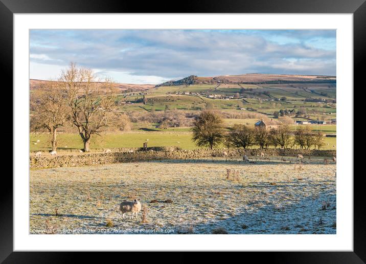 Hill Top, Eggleston, Teesdale from the Railway Walk in Winter Sun Framed Mounted Print by Richard Laidler