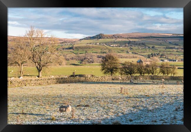 Hill Top, Eggleston, Teesdale from the Railway Walk in Winter Sun Framed Print by Richard Laidler