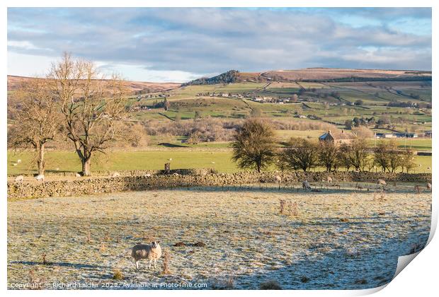 Hill Top, Eggleston, Teesdale from the Railway Walk in Winter Sun Print by Richard Laidler