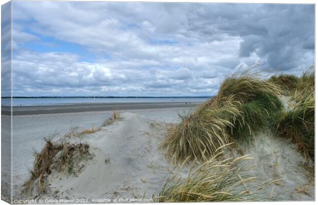 West Wittering beach and sand Dunes  Canvas Print by Diana Mower