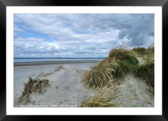 West Wittering beach and sand Dunes  Framed Mounted Print by Diana Mower