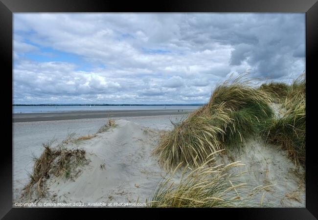West Wittering beach and sand Dunes  Framed Print by Diana Mower