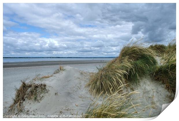West Wittering beach and sand Dunes  Print by Diana Mower
