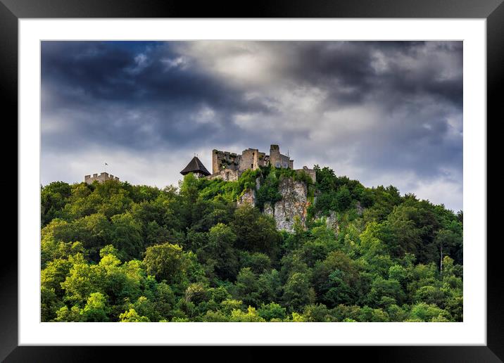 Celje Castle In Slovenia Framed Mounted Print by Artur Bogacki