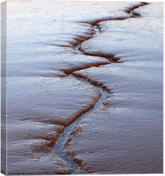 Tidal mudflats, Kyson Point, Suffolk Canvas Print by DEE- Diana Cosford