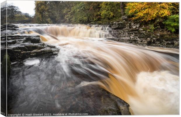 Stainforth Force, Yorkshire Dales National Park Canvas Print by Heidi Stewart