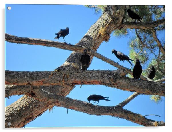 SEVEN CROWS IN A TREE Acrylic by Robert Happersberg