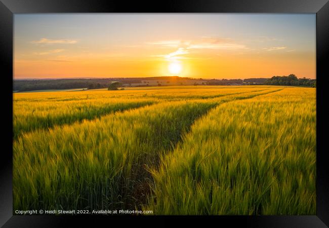 Sunset Over Wheat Fields Framed Print by Heidi Stewart