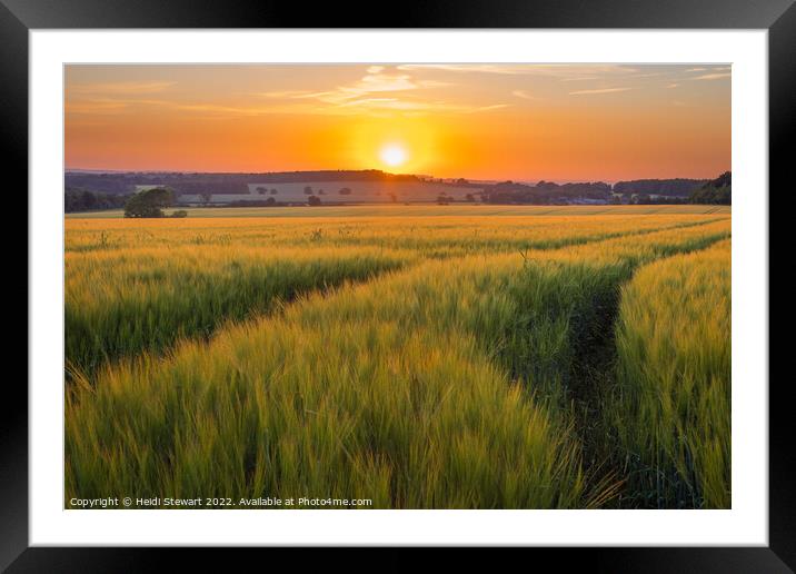 Sunset Over Wheat Fields Framed Mounted Print by Heidi Stewart