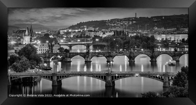 Evening view over the Vltava bridges in Prague - Monochrome Framed Print by Melanie Viola