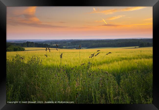 Hampshire Wheat Fields Framed Print by Heidi Stewart