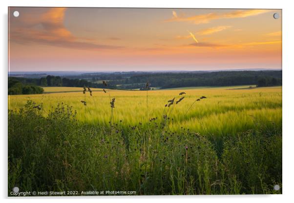 Hampshire Wheat Fields Acrylic by Heidi Stewart