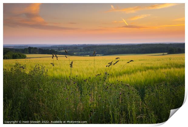 Hampshire Wheat Fields Print by Heidi Stewart