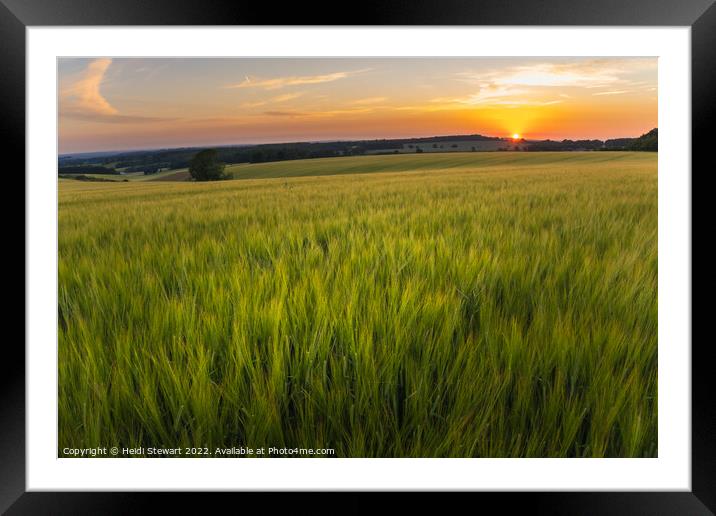 Wheat Fields at Sunset Framed Mounted Print by Heidi Stewart