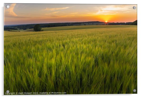 Wheat Fields at Sunset Acrylic by Heidi Stewart