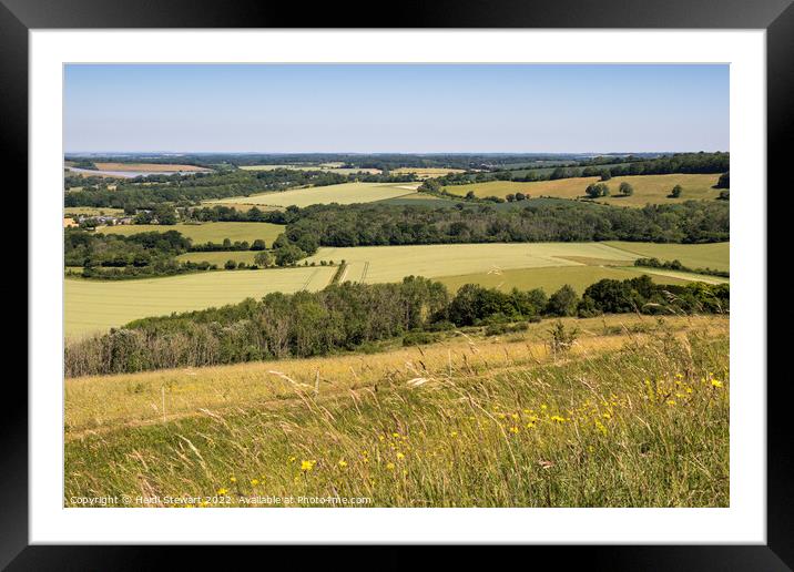 South Downs Hampshire Framed Mounted Print by Heidi Stewart