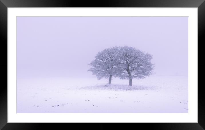 Two Oak Trees In The Snow Framed Mounted Print by Phil Durkin DPAGB BPE4