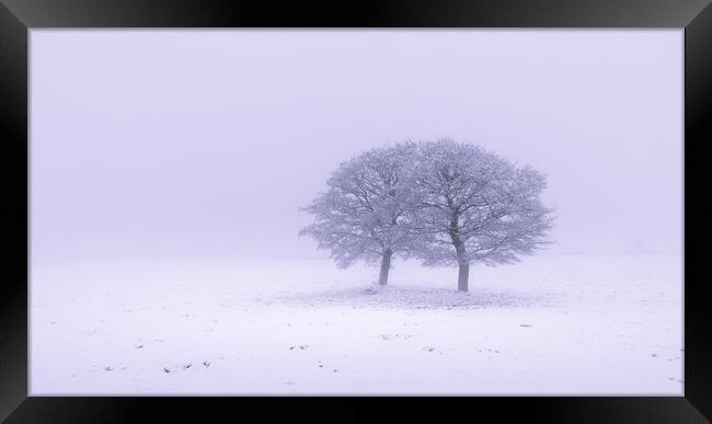 Two Oak Trees In The Snow Framed Print by Phil Durkin DPAGB BPE4