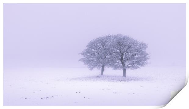 Two Oak Trees In The Snow Print by Phil Durkin DPAGB BPE4