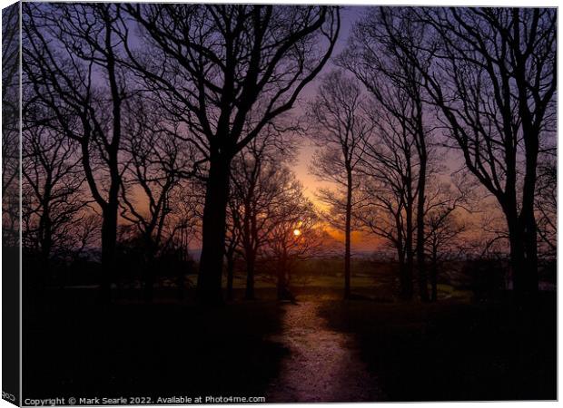 Sunset silhouettes at Badbury Rings Canvas Print by Mark Searle