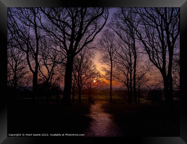 Sunset silhouettes at Badbury Rings Framed Print by Mark Searle
