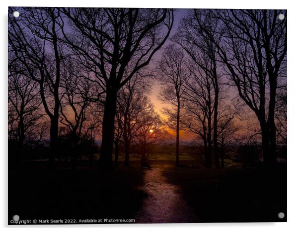 Sunset silhouettes at Badbury Rings Acrylic by Mark Searle