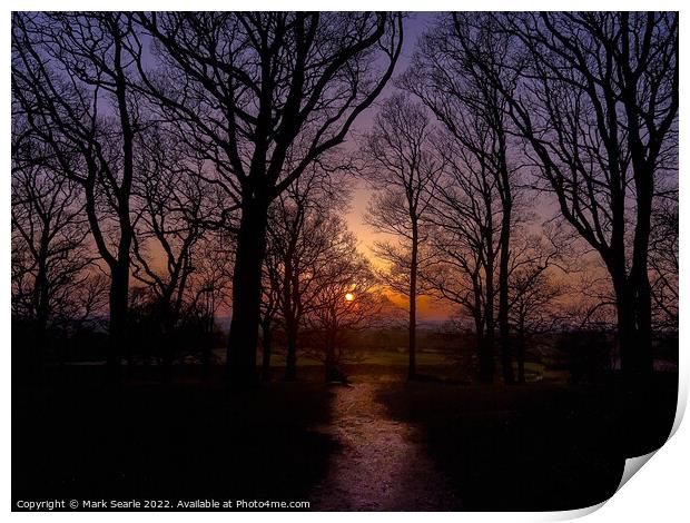 Sunset silhouettes at Badbury Rings Print by Mark Searle