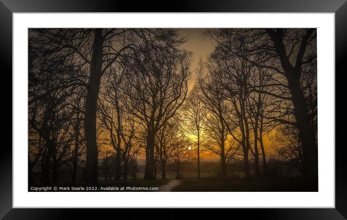Silhouettes during sunset  Framed Mounted Print by Mark Searle