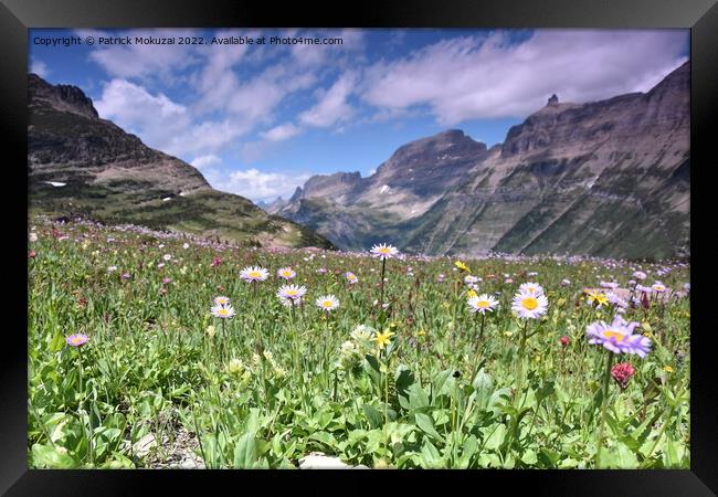 Glacier National Park Montana Framed Print by Patrick Mokuzai