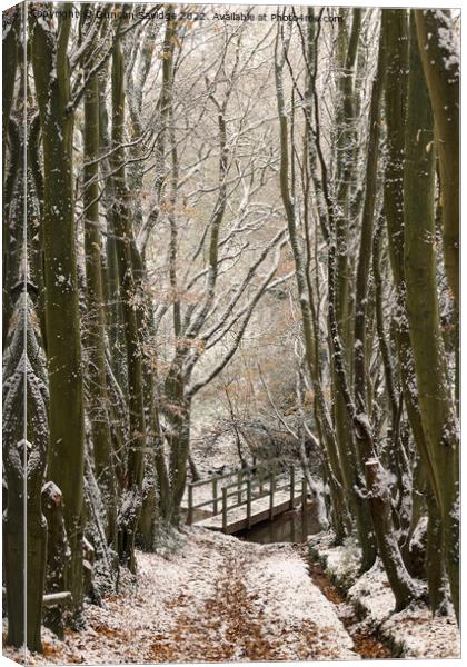 Bridge to Englishcombe village in the snow Canvas Print by Duncan Savidge