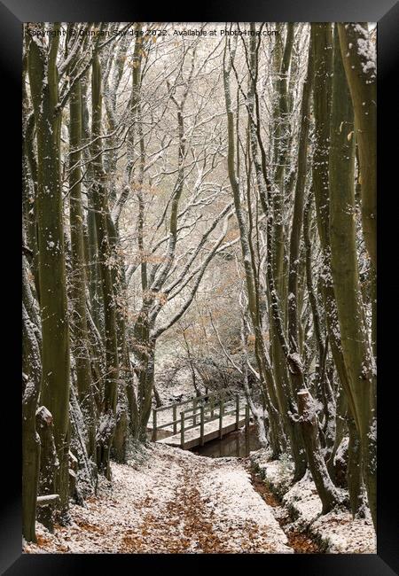 Bridge to Englishcombe village in the snow Framed Print by Duncan Savidge